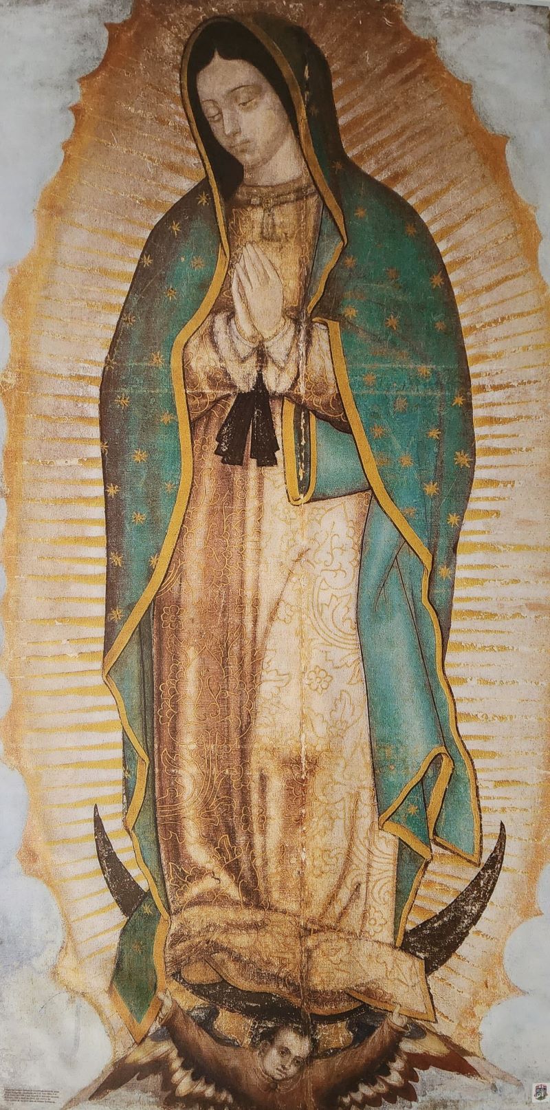 Our Lady of Guadalupe